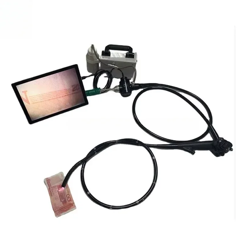 Veterinary Video Endoscope for - Medical Lab Video avaliação e preço