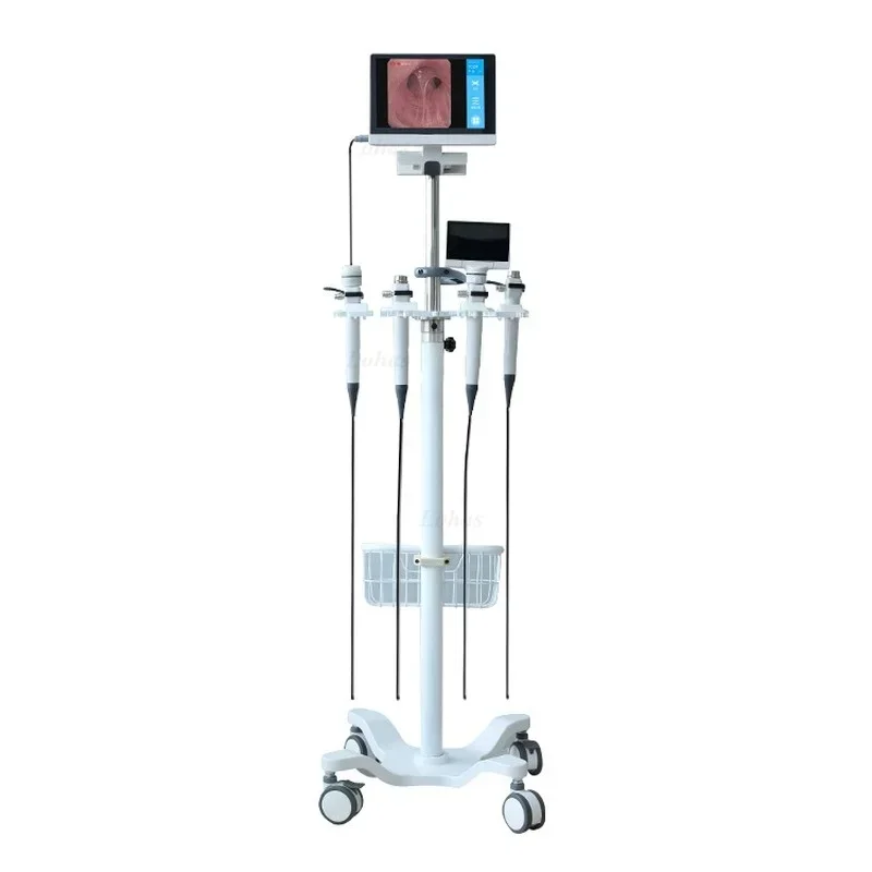 LHBF Por HD Video  Flexible Br - Medical Lab Video avaliação e preço